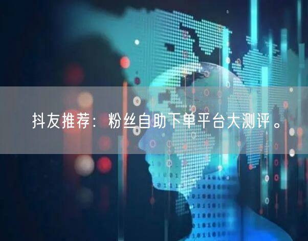 抖友推荐：粉丝自助下单平台大测评。