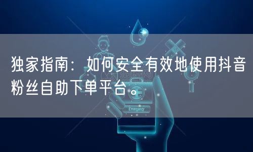 独家指南：如何安全有效地使用抖音粉丝自助下单平台。