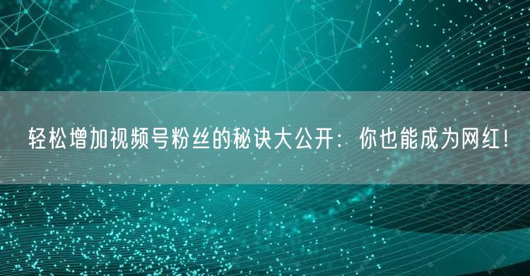 轻松增加视频号粉丝的秘诀大公开：你也能成为网红！