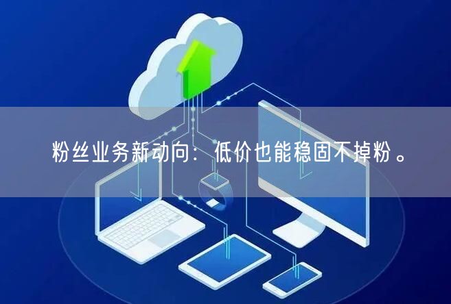 粉丝业务新动向：低价也能稳固不掉粉。