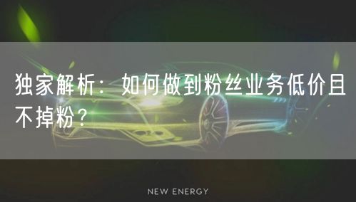 独家解析：如何做到粉丝业务低价且不掉粉？