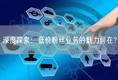 深度探索：低价粉丝业务的魅力何在？