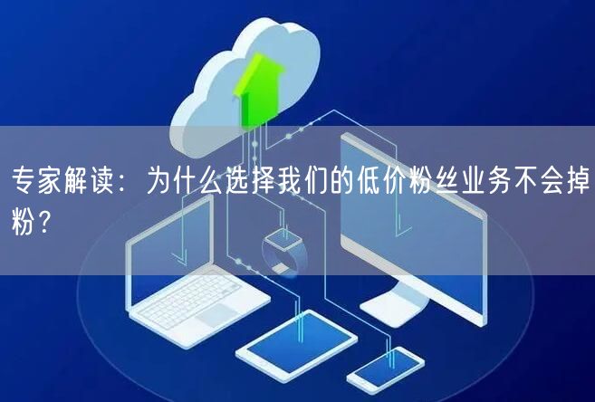 专家解读：为什么选择我们的低价粉丝业务不会掉粉？