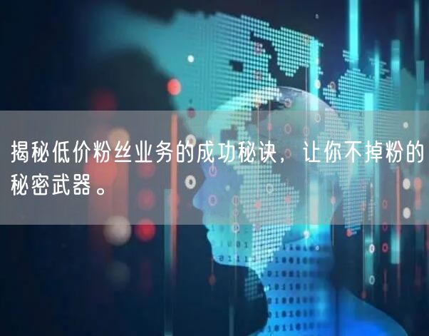 揭秘低价粉丝业务的成功秘诀，让你不掉粉的秘密武器。