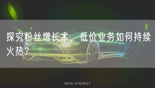 探究粉丝增长术，低价业务如何持续火热？
