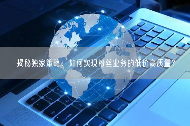 揭秘独家策略：如何实现粉丝业务的低价高质量？