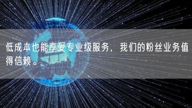 低成本也能享受专业级服务，我们的粉丝业务值得信赖。