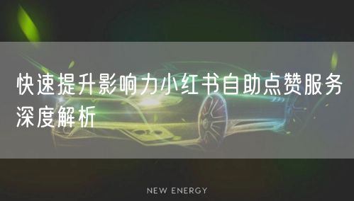 快速提升影响力小红书自助点赞服务深度解析