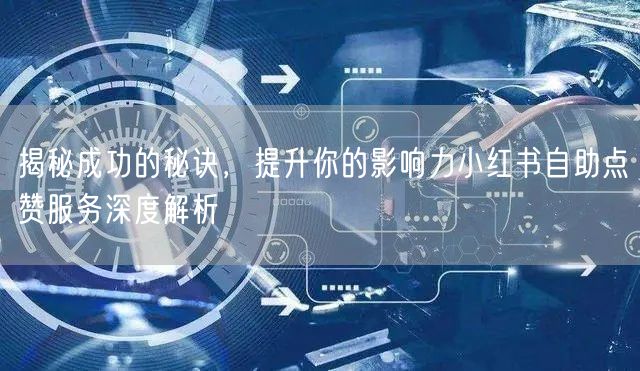 揭秘成功的秘诀，提升你的影响力小红书自助点赞服务深度解析