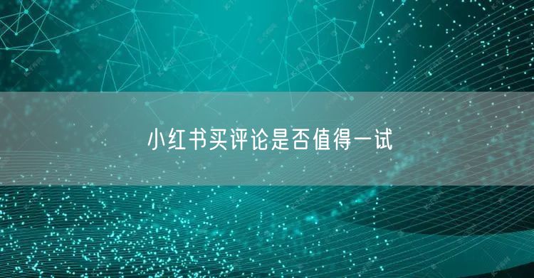 小红书买评论是否值得一试