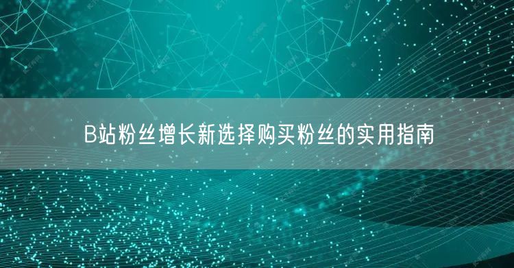 B站粉丝增长新选择购买粉丝的实用指南