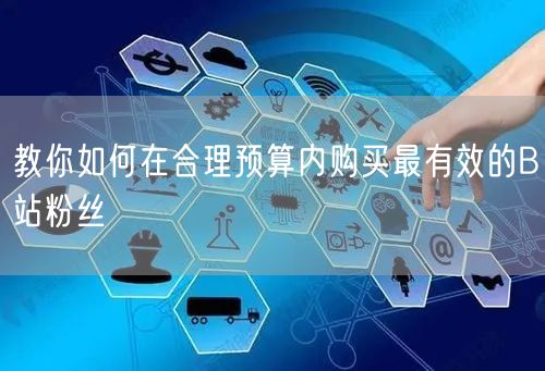 教你如何在合理预算内购买最有效的B站粉丝