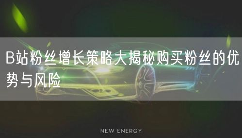 B站粉丝增长策略大揭秘购买粉丝的优势与风险