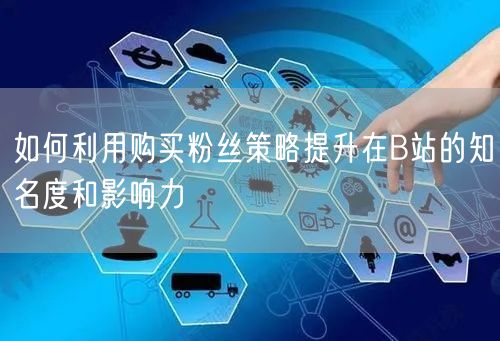 如何利用购买粉丝策略提升在B站的知名度和影响力