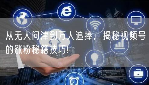 从无人问津到万人追捧，揭秘视频号的涨粉秘籍技巧!
