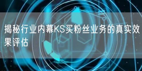 揭秘行业内幕KS买粉丝业务的真实效果评估