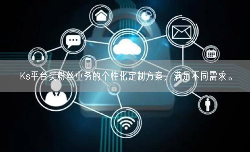Ks平台买粉丝业务的个性化定制方案，满足不同需求。