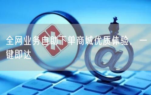 全网业务自助下单商城优质体验，一键即达