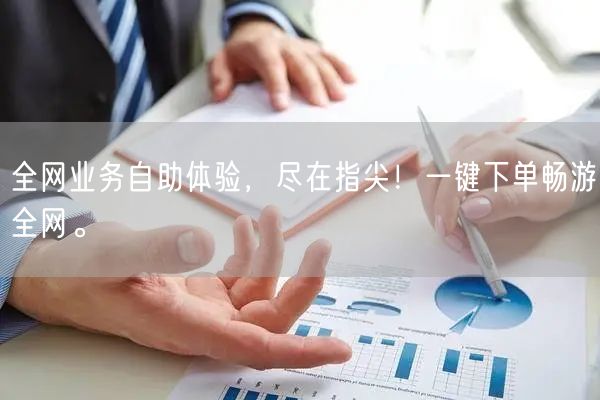 全网业务自助体验，尽在指尖！一键下单畅游全网。