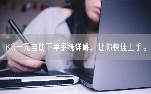 KS一元自助下单系统详解，让你快速上手。
