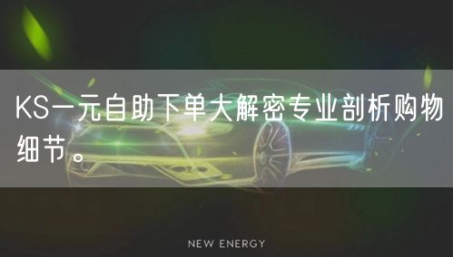 KS一元自助下单大解密专业剖析购物细节。