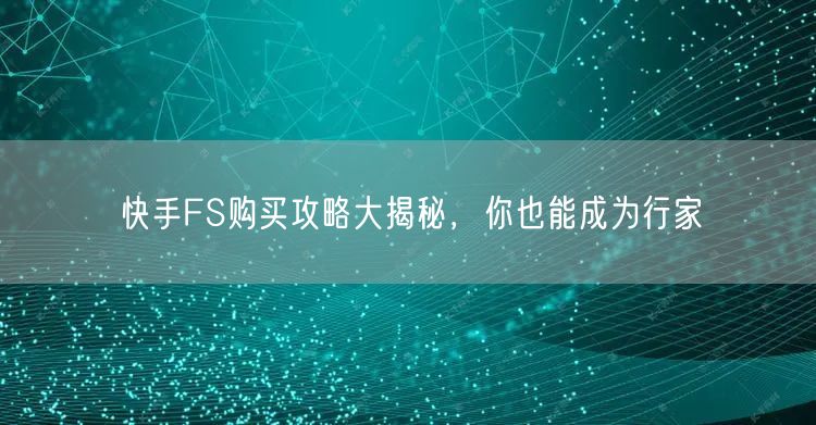 快手FS购买攻略大揭秘，你也能成为行家