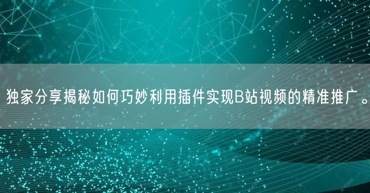 独家分享揭秘如何巧妙利用插件实现B站视频的精准推广。
