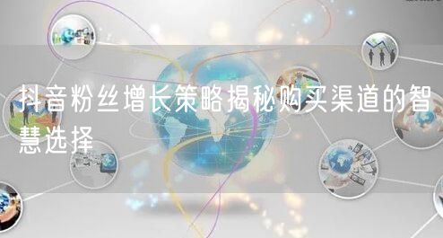 抖音粉丝增长策略揭秘购买渠道的智慧选择