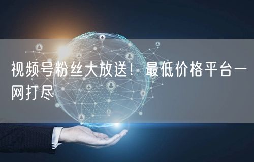 视频号粉丝大放送!最低价格平台一网打尽