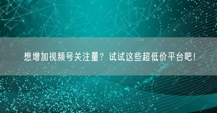 想增加视频号关注量？试试这些超低价平台吧！