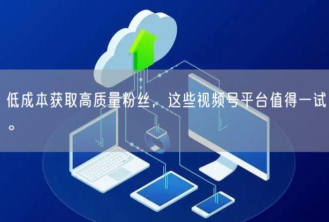 低成本获取高质量粉丝，这些视频号平台值得一试。