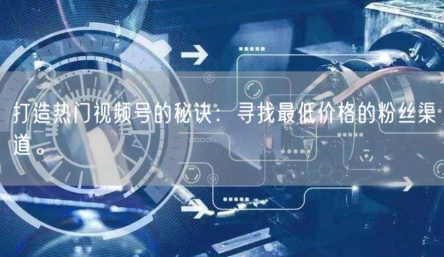 打造热门视频号的秘诀：寻找最低价格的粉丝渠道。