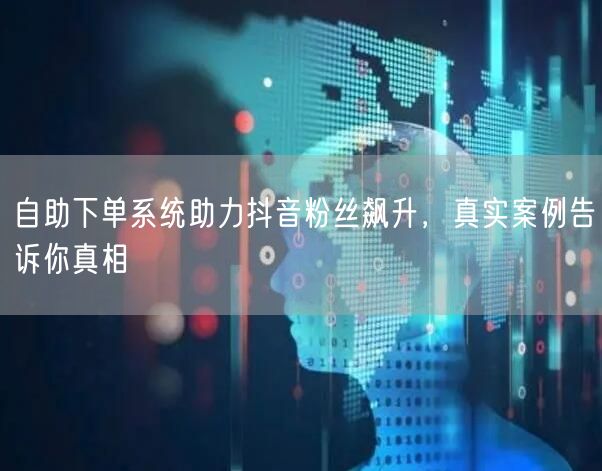 自助下单系统助力抖音粉丝飙升,真实案例告诉你真相