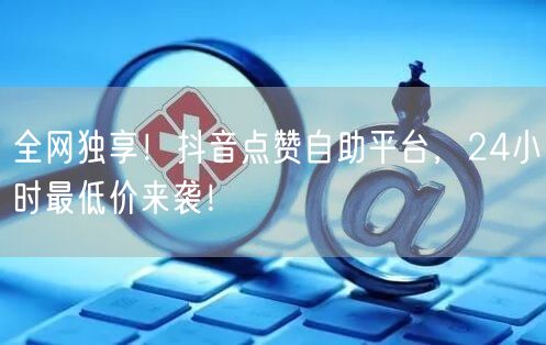 全网独享！抖音点赞自助平台，24小时最低价来袭！