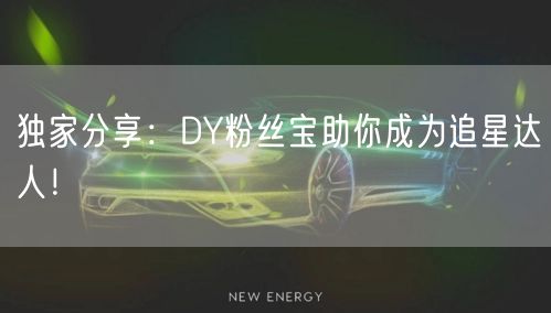 独家分享：DY粉丝宝助你成为追星达人！