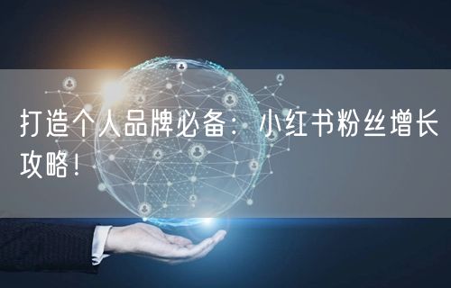 打造个人品牌必备：小红书粉丝增长攻略！