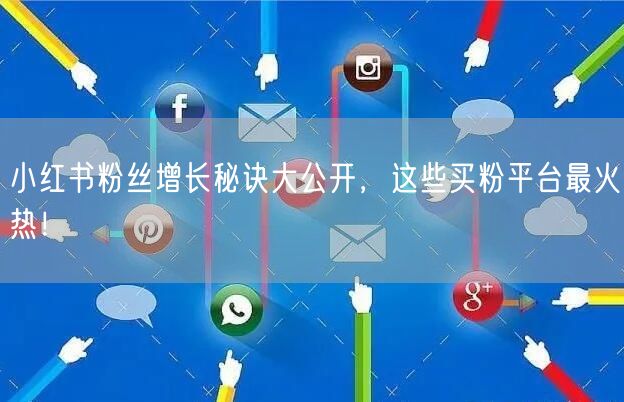 小红书粉丝增长秘诀大公开，这些买粉平台最火热！
