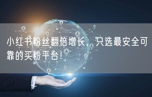 小红书粉丝翻倍增长，只选最安全可靠的买粉平台！